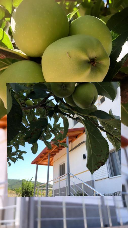 Hotel Apostoli Permet Luaran gambar